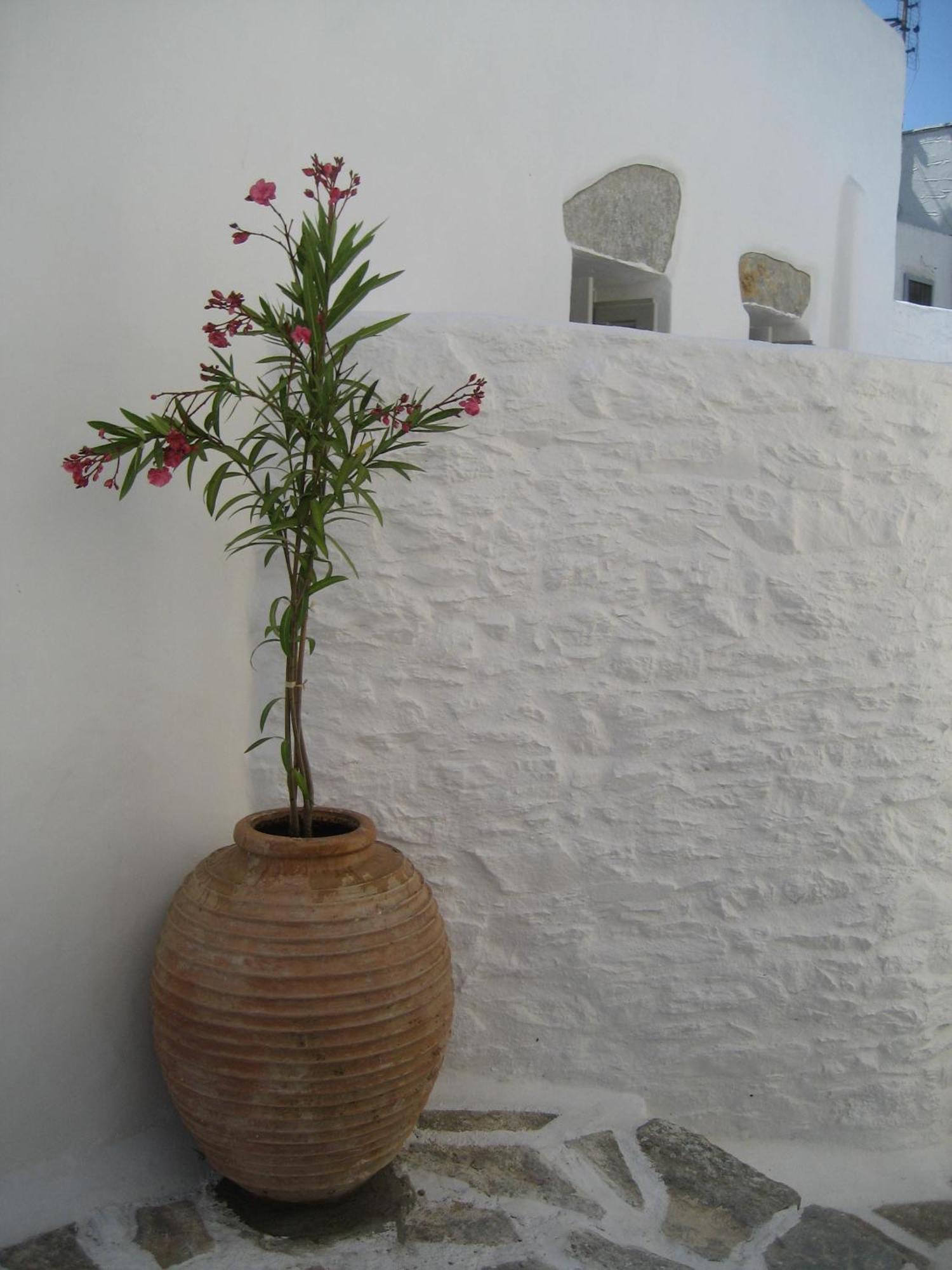 Chora Elegant Traditional House Amorgos Buitenkant foto